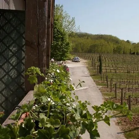 مزرعة للإقامة Agriturismo Subida Di Monte