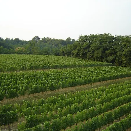 Agriturismo Subida Di Monte مزرعة للإقامة