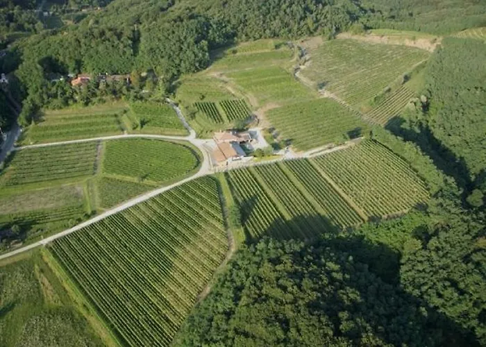 Agriturismo Subida Di Monte