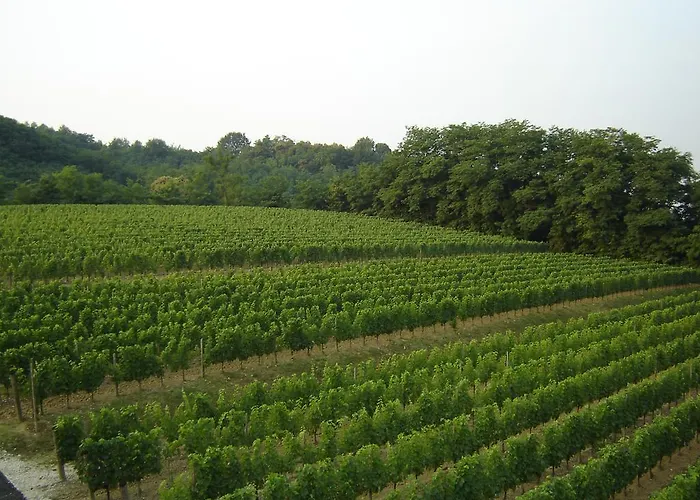 Agriturismo Subida Di Monte Κατάλυμα σε φάρμα